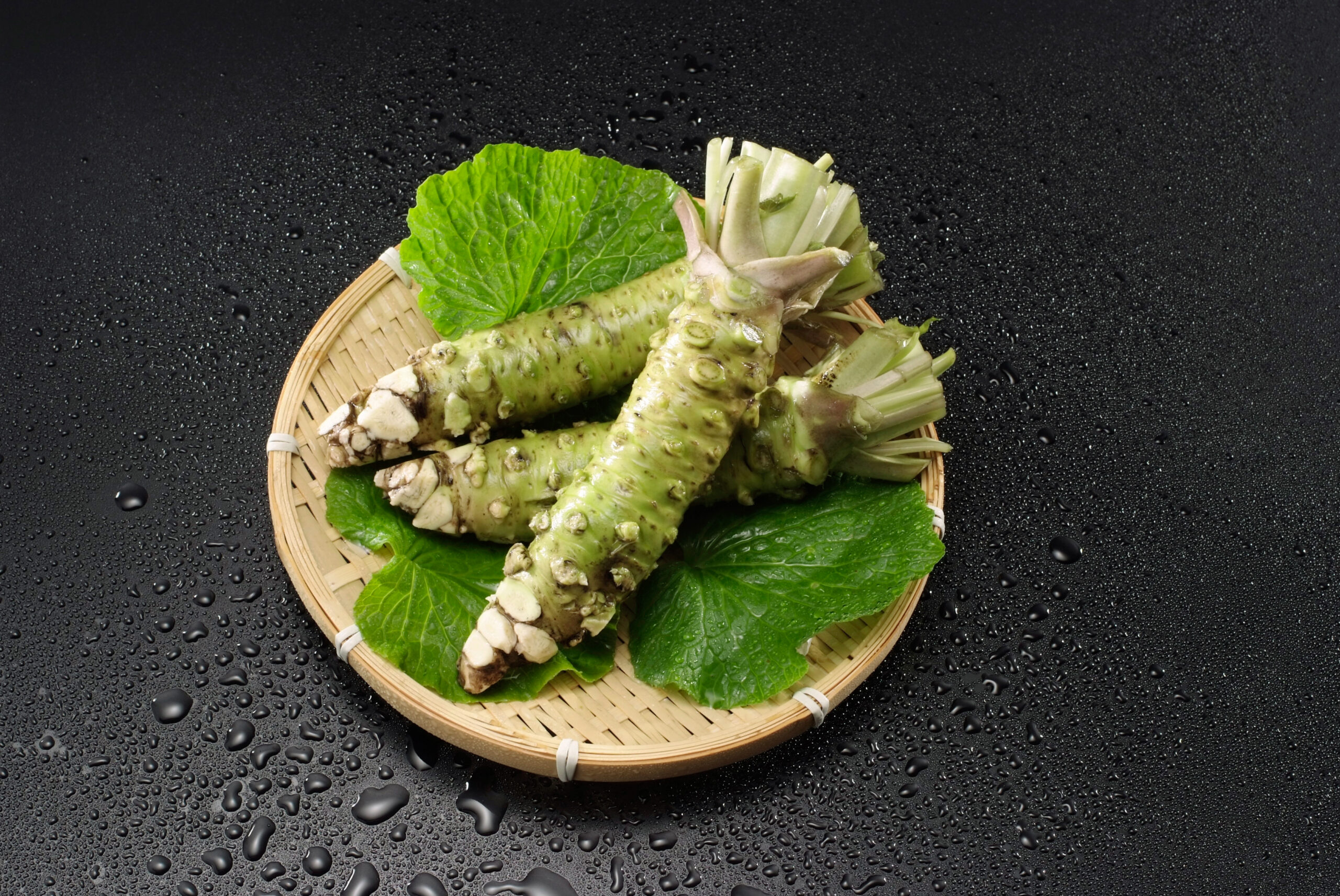 わさびくん様 確認用 わさび様確認用